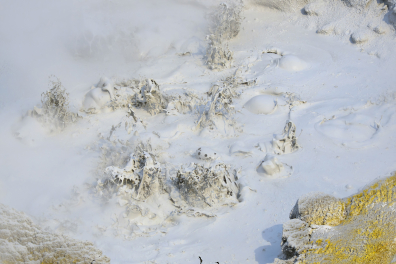 Sulfur Calderon (Yellowstone NP, Wyoming, USA)